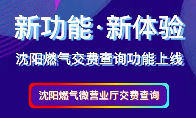 示劍助力沈陽燃氣交費查詢功能成功上線