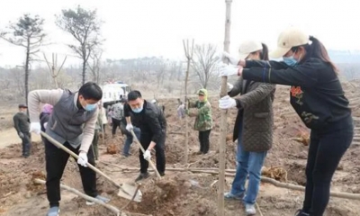 示劍助力沈陽(yáng)市人大青工委“云植樹(shù)”，守護(hù)祖國(guó)的青山綠水！